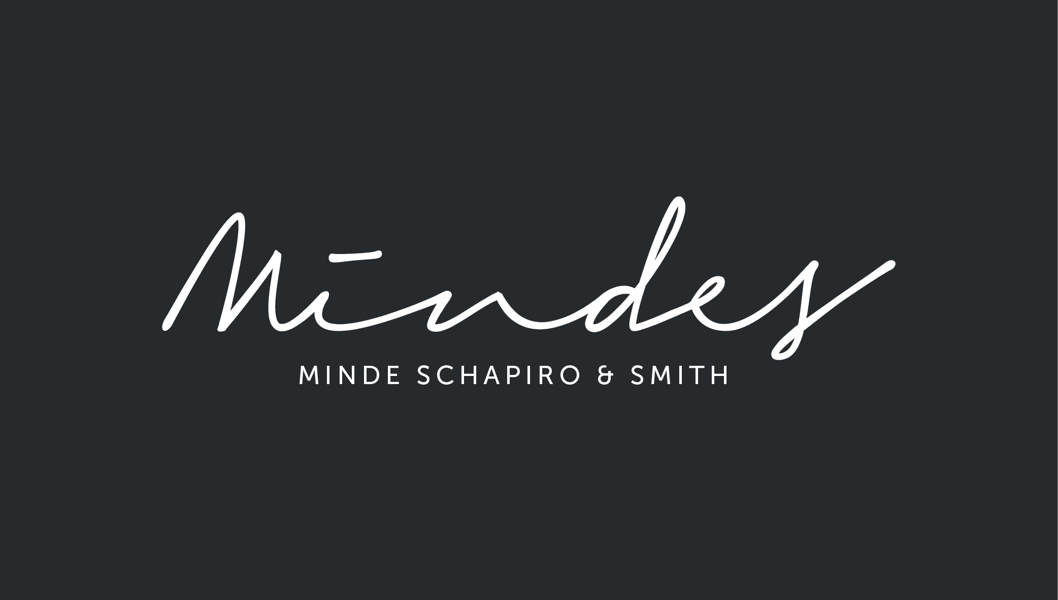 Minde Schapiro & Smith Website Thumbnail